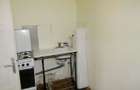 Proprietate cu 2 hale si casa la inchiriat,teren 1350mp - 17