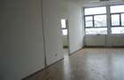 Spatii platforme betonate 1000 - 10000 mp zona Vitan - 6