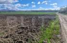 Teren Extravilan 15000 mp- parcelat in 3 loturi Bod- 5000 mp fiecare parcela - 1