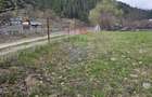 Teren 1,520mp Hangu / Strada Principala - 10