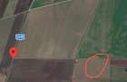 🌾 Teren arabil extravilan – 30 ha – acces direct drum de exploatare - 2