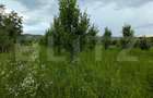 Teren intravilan, 4500 mp, zona Voinesti - 6