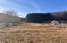 Teren intravilan 4521mp lângă pădure-valea Doftanei -Calea Brasovului - 13