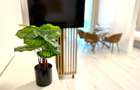 Inchiriez apartament 2 camere Lux | et 3 | Corneliu Coposu - 11