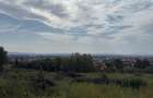 Teren intravilan, 1000 ari, Str. Miron Costin - 3