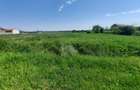 Teren intravilan la intrare în Vetiș – 12.216 mp - 1