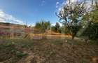 Propietate rara! 125 mp, 1000 mp teren, priveliste panoramica - 16
