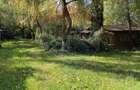 Ansamblu de 7 Căsuțe de Vacanță, Ocna Șugatag - 9