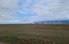 Teren extravilan 2,9 HA,intre Cristian si Vulcan - 5