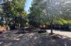 Vila Pipera–Drumul Negru–Teren 2500 mp–Investitie rara-comision ZERO - 8