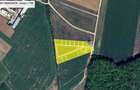 Vanzare teren Snagov - Ciolpani, 510mp, AC, utilitati - 2