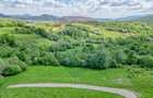 Teren 500mp Tohanita (intre castelul Bran si Zarnesti), padure + parau - 11