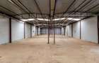 Hale depozitare/producție 2.000 mp si 10.000 mp teren în Pecica - 9