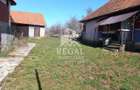 Două case de vânzare – Cerisor – teren generos 6996 mp - 7