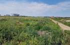 Otopeni Ferme teren intravilan 20000 mp deschidere 61,5 m - 3