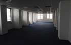 Spatii de inchiriat - River Plaza - Corp A -  554.20 mp