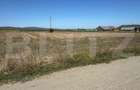 Teren intravilan, 2.250 mp, de vanzare, zona Chintelnic - 1