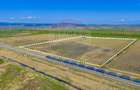 Teren 9,2 Ha Bod |Logistic / Industrial| Doar 5€/mp| Comision 0% - 5