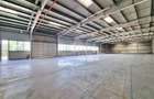 Spatiu Industrial - Zona Apahida - Teren Imprejmuit - 5