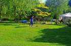 Cea mai frumoasă casă din zona Pipera - Băneasa - 42