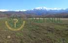 Vindem teren Sibiu, Valea Lupului, priveliste deosebita - 2