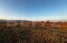 TEREN INTRAVILAN 780mp, zona Partoș - strada Viilor - 4