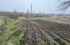 Teren 2.038 mp + Casă 50 mp de vânzare – Sat Luncsoru, Com. Ghercești - 3
