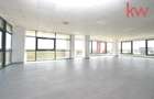 Hale moderne si spatii de birouri de inchiriat, zona aeroportului Craiova - 12