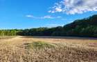 Oportunitate Unică! Teren de Vânzare aproape de Pădure – Ciolpani Izvorani - 4