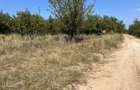 Teren intravilan 5744 mp Mosoaia-Prunilor - 1