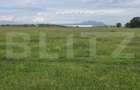 Teren intravilan, 4000 mp, zona Nicolae Labis - 1