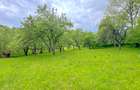 Teren 1500mp, intravilan cu utilitati, in proximitatea complexului Vila Bran - 3