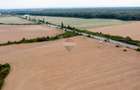 Teren intravilan  10.000mp Ciolpani, acces direct din DN1 - 9