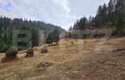 Teren extravilan 11.480 mp cu potențial intravilan – Trâncești, Scărișoara - 1