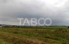 Teren de vanzare 10000 mp CF 107274 deschidere de 42 m in Sura Mica - 3