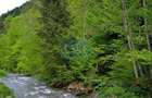 House for sale, 5 Rooms, 180 sqm, Valea Dejani - 7