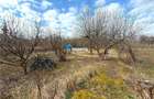 Teren intravilan 4800 mp, investitie,  utilitati complete, Dancas Miroslava - 6