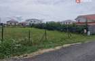 Teren intravilan de 622 mp de vanzare in Mosnita Noua - 1