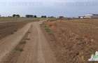 Oferim spre vanzare 6 loturi de teren extravilan (agricol) in Petrachioaia ILFOV - 15
