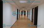 Royal Imobiliare - cladire birouri - 12