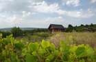 Intravilan - Tomesti - Teren si Cabana zona frumoasa