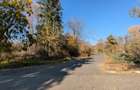 Teren 19.470 mp, investitie ideala, Green City -1 Decembrie, Ilfov - 11