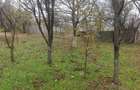 Teren intravilan 12.511 mp | Potoceni – Mărăcineni | Ideal pentru dezvoltare rez - 2