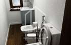 Ideal investitie -Pensiune de vanzare in Paltinis, 337mp, teren 1500mp - 29