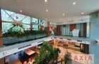 Birou premium in zona Kiseleff-Piata Presei- Comision 0%! - 4