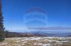 Teren  extravilan - 9