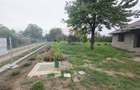 Casă cu livadă și teren generos – Girov - 40