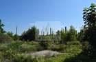 Proprietar vand teren si hale industriale- 51.550 mp • Deta - 7