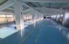 Hală modernă multifuncțională – 1.300 mp –Bucium, Iași- DE ÎNCHIRIAT  - 7