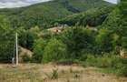 Teren de vanzare, 64 ari, zona Ulmoasa - 3